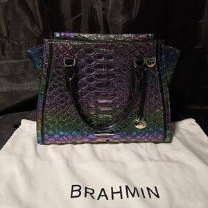 Brahmin Chameleon Tote Bag And Wallet